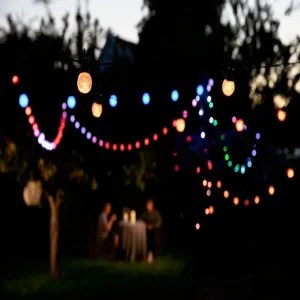 Lite Bulb Moments Smart Light Chain Globe Facets hanging multicolor globe string lights for outdoor garden evenings