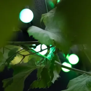 Lite Bulb Moments smarta ljusslinga med gröna globlampor som lyser bland löv i en mörk miljö