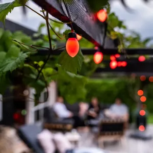 Lite Bulb Moments smart ljusslinga med klotformade koner, hängande utomhus och lysande rödorange bland trädgårdsblad