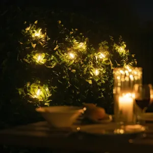 Lite Bulb Moments Vintage Edison smart ljusslinga som lyser varmt över lummig grönska utomhus