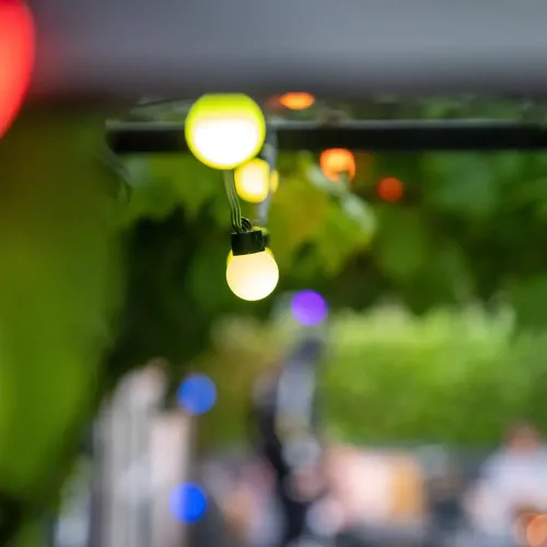 Kæde af små pærer, der hænger fra en mørk stang blandt grønne blade, oplyst i gult, med farveprikker i en sløret baggrund.