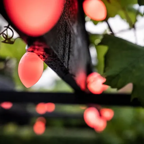 Lite Bulb Moments smart lyskæde med kugle- og kegleformede lys, der lyser pink-rødt udendørs